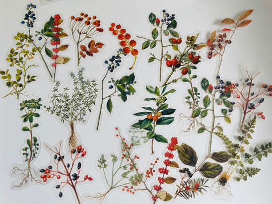 Floral, Berries & Herbs Sticker Set, Wild Flower, Leaves Stickers, Rosemary Hippie Boho Floral Meadow Flower Stickers