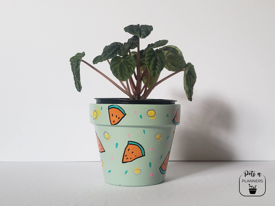 Watermelon Pot | Hand Painted Planter Terracotta Pots Clay Pot