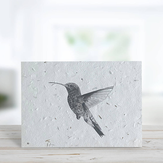 Adhara The Hummingbird Plantable Seeded Greeting Card