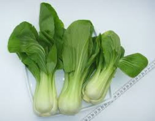 Pak Choi, Heirloom Us Seeds Organic Non Gmo, Free Seed With Order