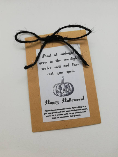 Pumpkin Seed Packet, Halloween Gift For Kids, Treat Alternative, Vegan Halloween, Gift