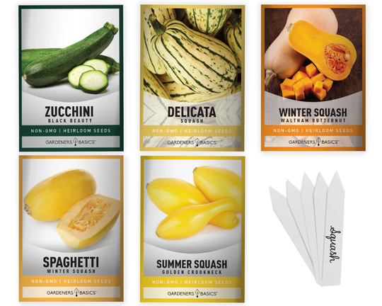 Squash Seeds For Planting 5 Pack - Delicata, Zucchini, Spaghetti, Butternut, & Golden Crookneck Varieties Non-Gmo, Heirloom
