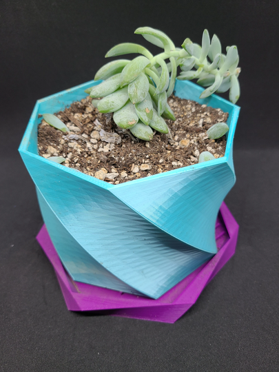 Twisted Planter With Drain Tray | Medium 6 Inch Functional Art