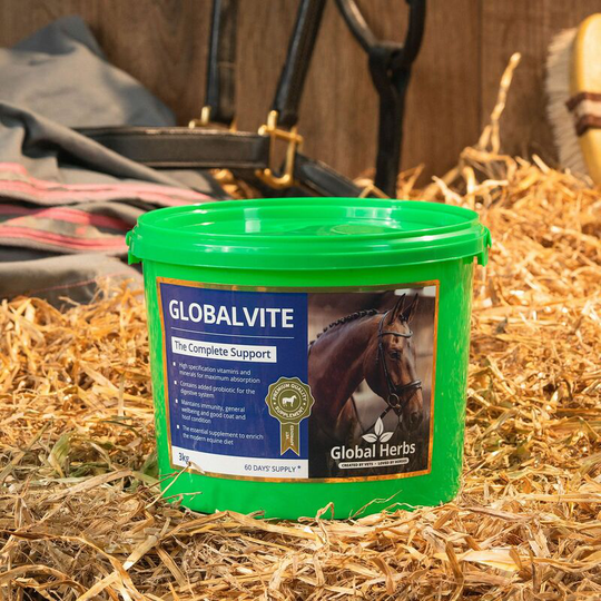 Global Herbs - Globalvite - 3 Kg - GLOBALVITE3KG