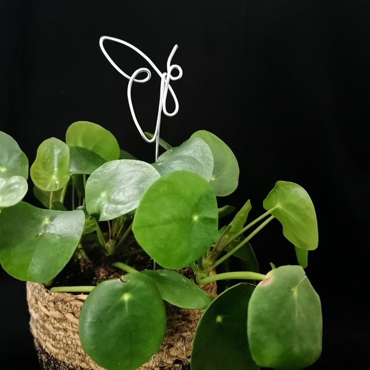 Butterfly Plant Topper - Marker Decor Bouquet Flower Gift
