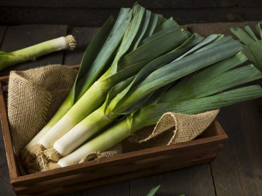 Onion Seeds Porey Quarantay About 100