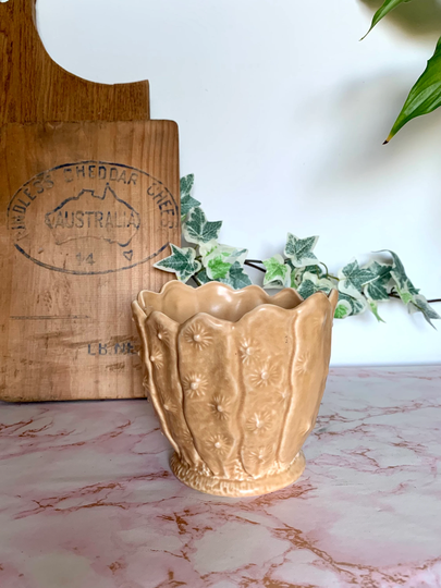 Vintage Sylvac Cactus Design Plant Pot 2248 | Pottery Kitsch Retro Planter