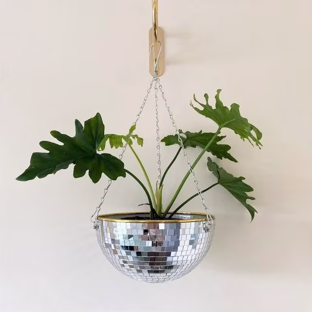 Disco Ball Planter - Sweet Home For Plants, Much Fun You