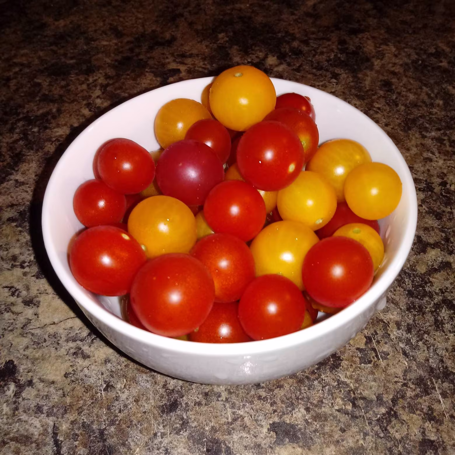 Micro Dwarf Tomato Seeds Variety Pack 20+Seeds Per Pack