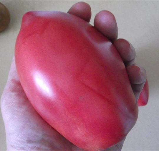 Tomato Seeds Pink Flamingo
