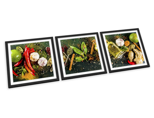 Herbs Spices Modern Kitchen Framed Art Prints Set Picture Poster Square Artwork