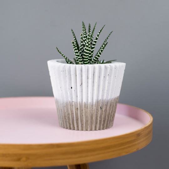 White Plant Pot - Monochrome Crinkle Concrete Planter Plant Pot Planter- Cactus