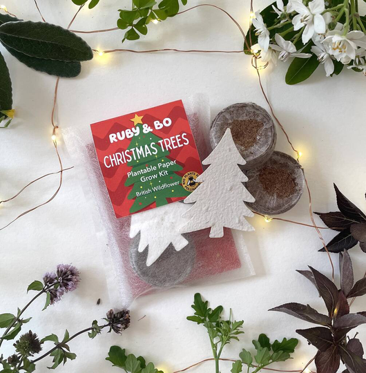 Christmas Tree Plantable Paper Grow Kit