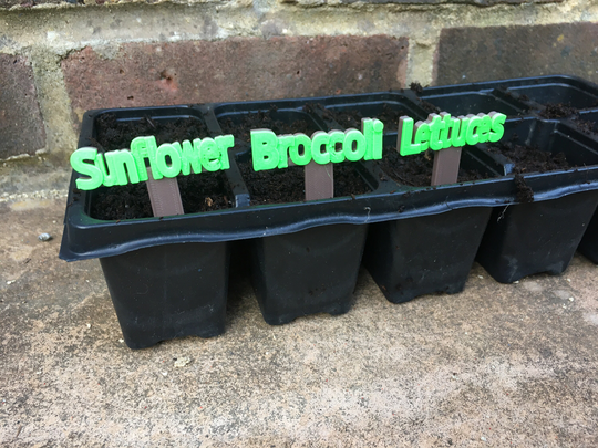 Seed Tray Stakes/Garden Markers Plant Pot Labels Herb Vegetable Marker Label Your New Seeds