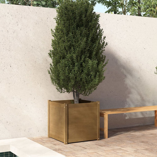 Asupermall - Garden Planter Honey Brown 60x60x60 cm Solid Pinewood