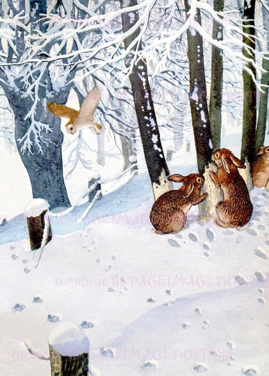 Marvellous Vintage Llustration Of A Barn Owl & Three Rabbits in Snowy Forest Christmas Season Winter Solstice Holiday 5x7 Greeting Card