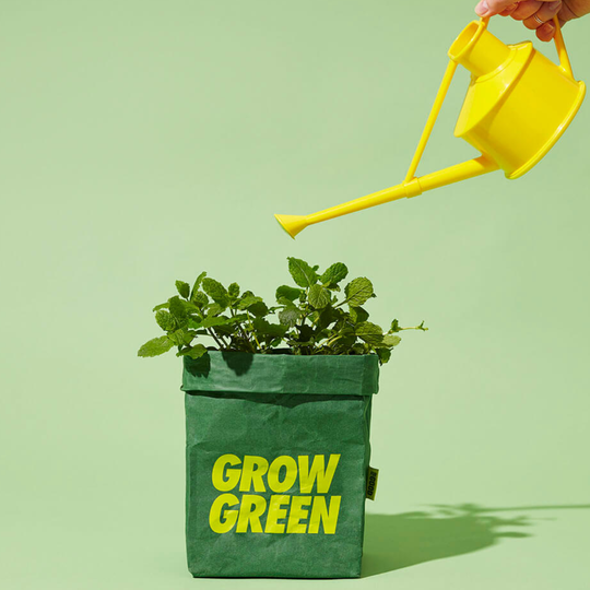 Grow Your Own Food