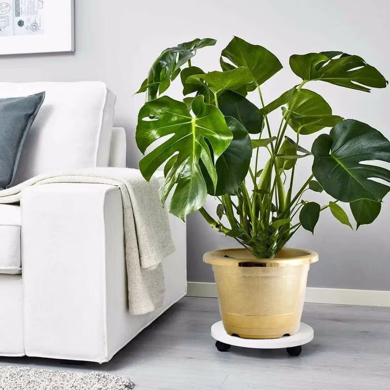 Decorative Garden Pots, Plant Pots For Flowers & Greenery, New Year Planters - 10