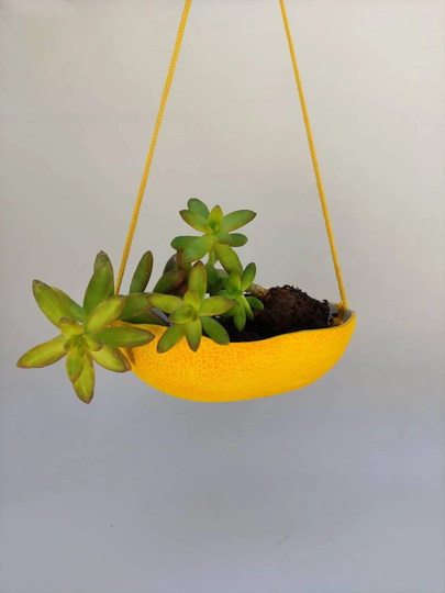 Ceramic Hanging Planter, Hanging Pot, Wall Planter Indoor, Melon Planter