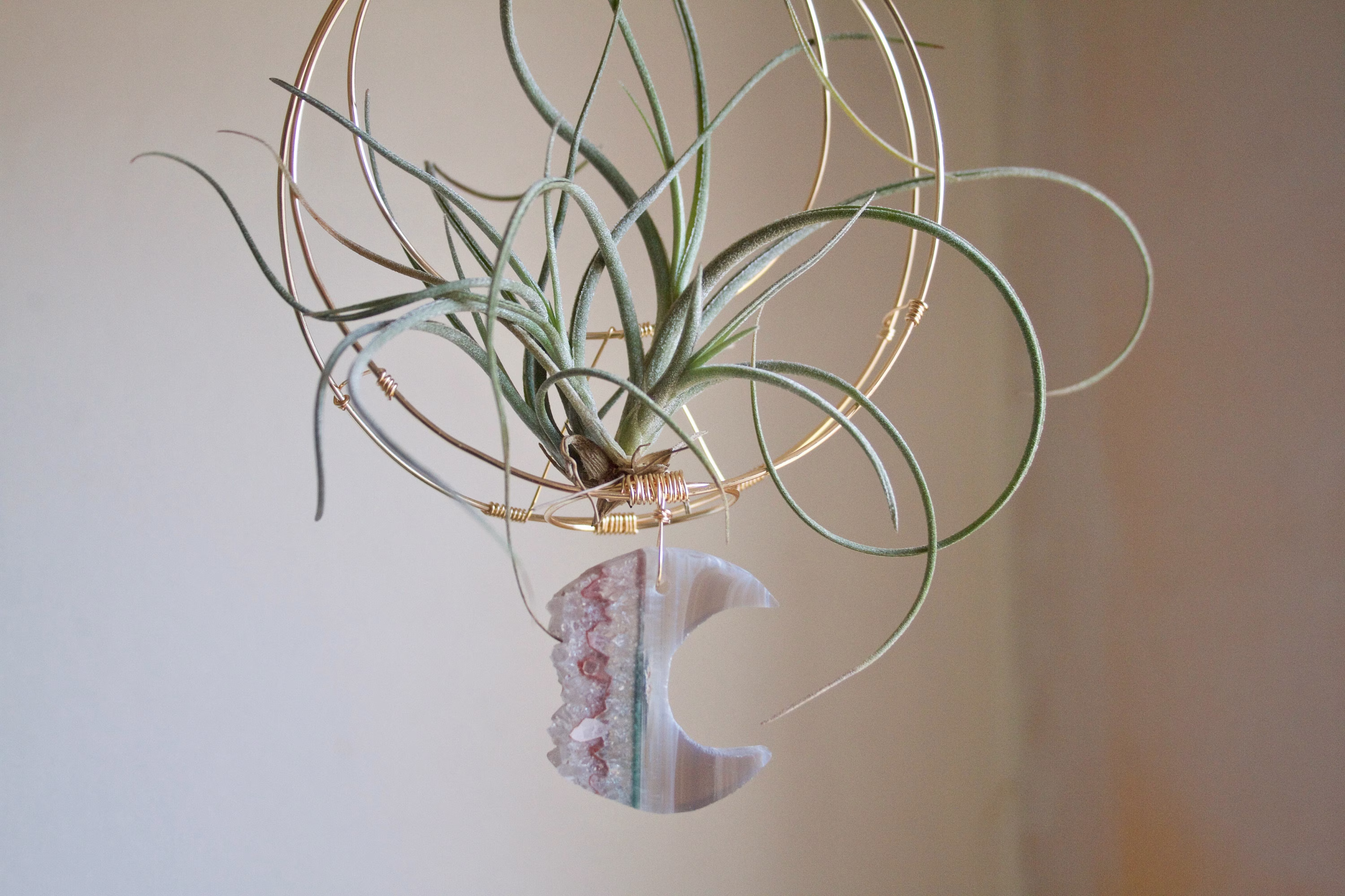 Air Plant Holder With Crystal Slice Moon, Celestial Hanging Planter, Airplant Wall Decor Crescent Free Gift Box