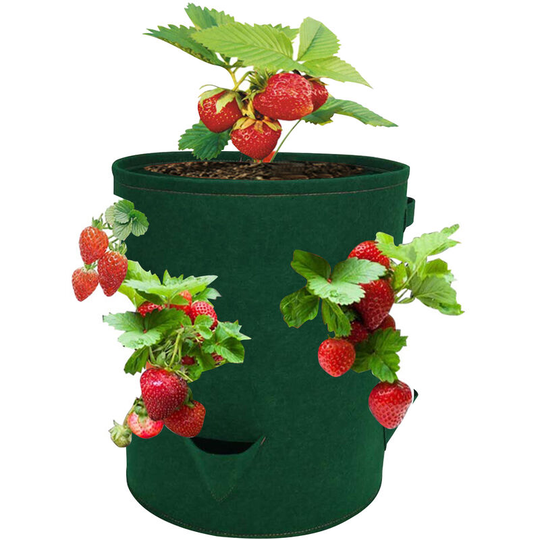 10 Gallon Strawberry Grow Bags with 8 Grow Pouches Planter Box Vegetable Grow Bag - Green