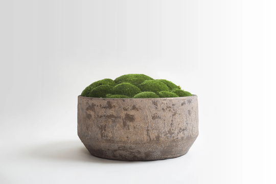 Rustic Luxe Moss Bowl Grey