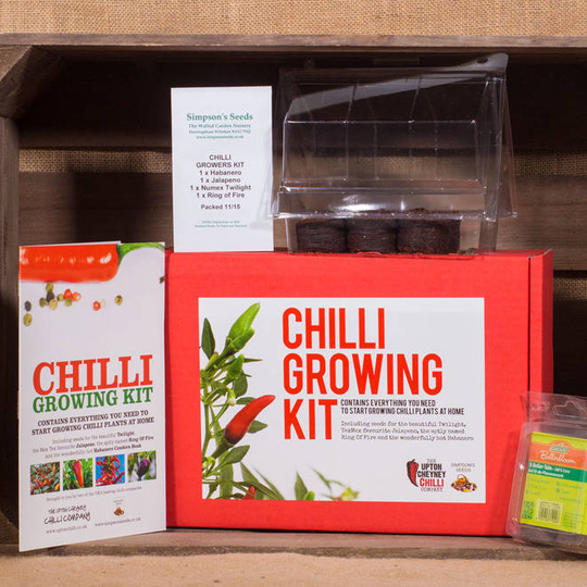 Grow Your Own Chilli Kit