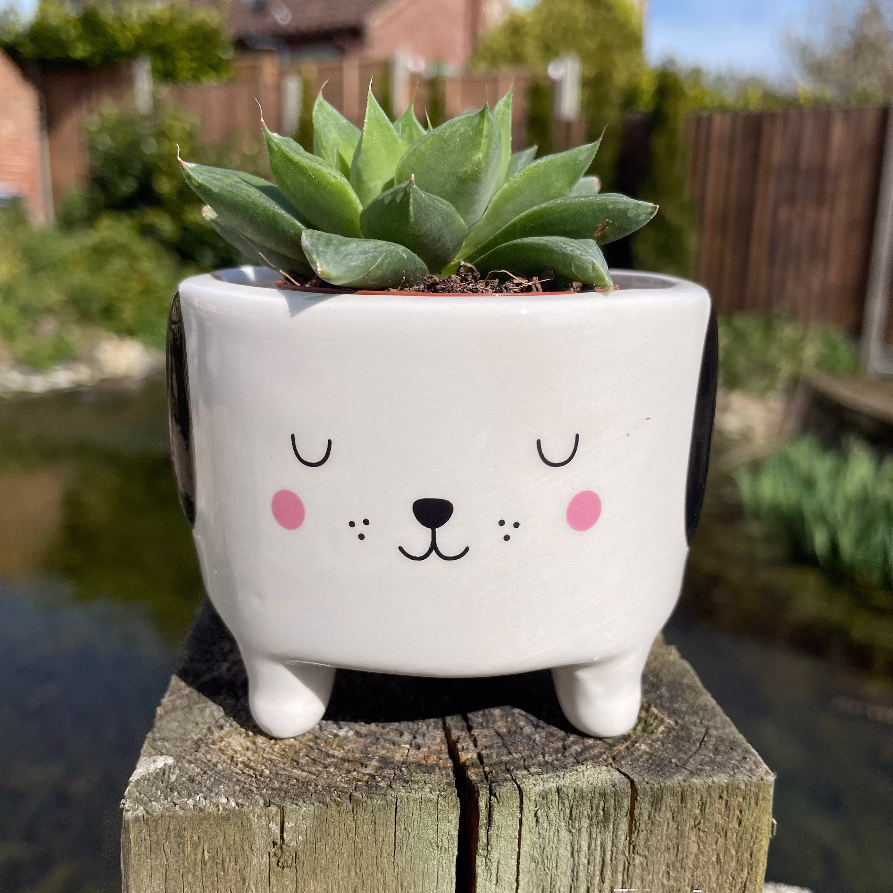 Barney The Dog Planter By Sass & Belle