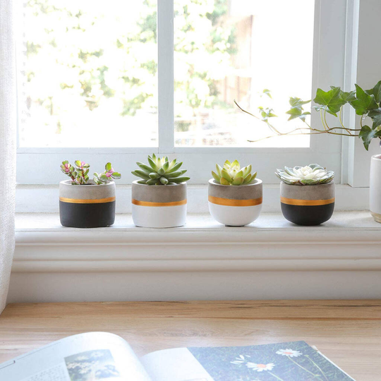 Pack Of Four Mini Cement Succulent Planters Indoor