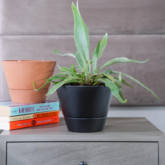 Ainslie 17 Ceramic Self Watering Pot