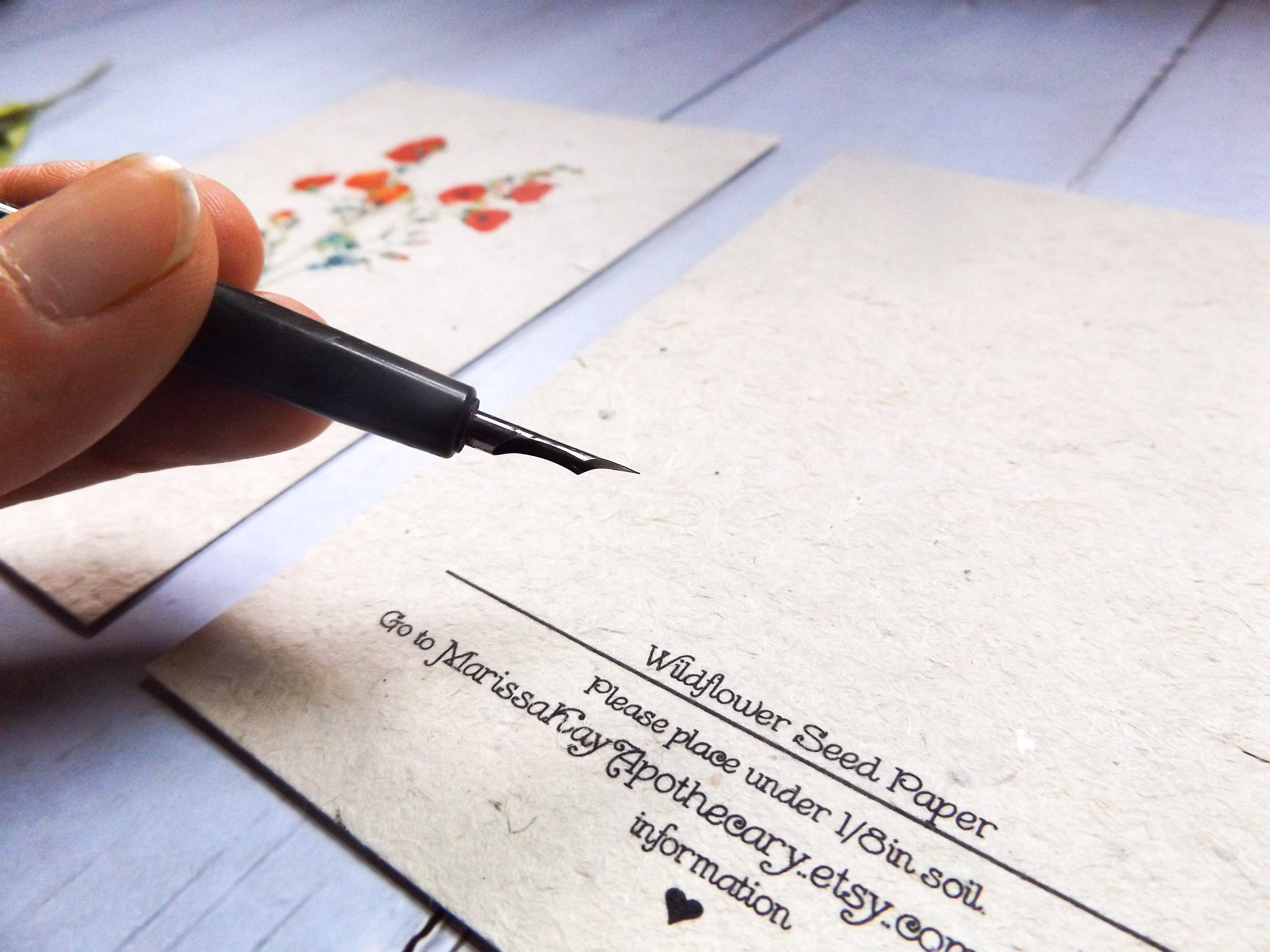 Note Cards On Seed Paper | Wildflowers Will Grow Variety 6 Pack