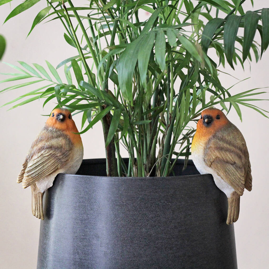 Set Of Two Robin Pot Hangers