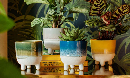 Large Sass & Belle Mojave Ceramic Planter , Stoneware Mini Plant Pot, Scandi Design, And