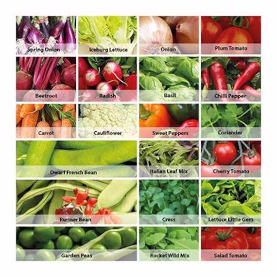 Vegetable Seeds Pack Containing 21 Varieties Of Vegetables With Over 1700 To Grow