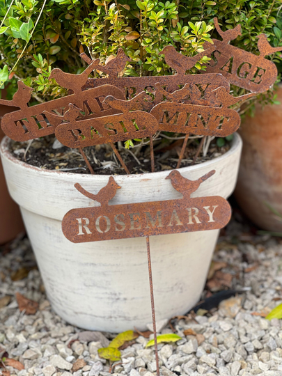 Herb Names Rusty Garden Signs A Set Of Six