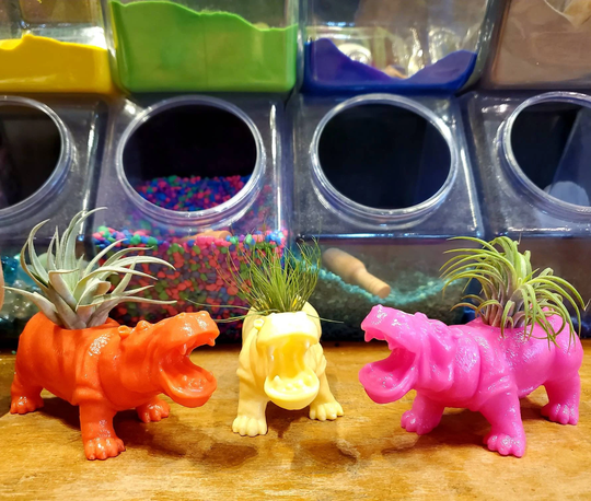 Hippo Air Plant Holders .. Rainbow Of Colors Trending Now Or Mini Succulent Holder