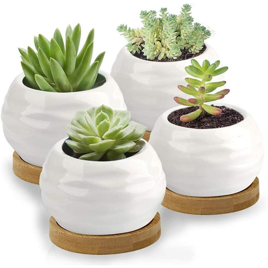 Succulent Pots, White Mini 3.15 inch Ceramic Flower Planter Pot with Bamboo Tray, Pack of 6 - Plants Not Included