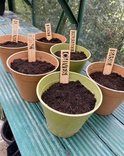 Bamboo Wood Herb Markers, Stakes, Label Pots, Garden Gift, Outdoor Planters, Planters & Gardening, Greenhouse Gardening