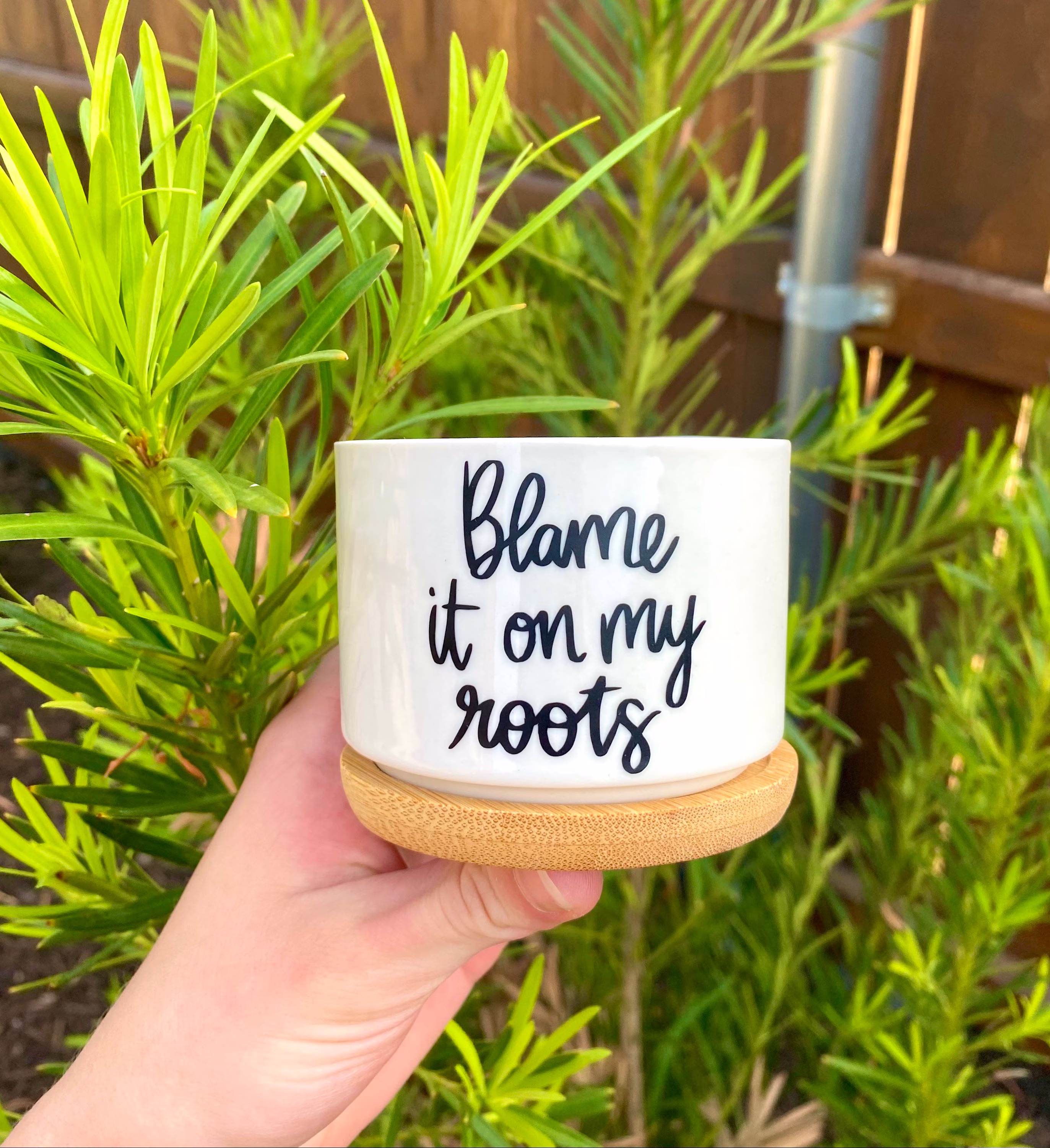 Blame It On My Roots Succulent Planter | Flower Pot Plant Lady Funny Planters Plants Cactus