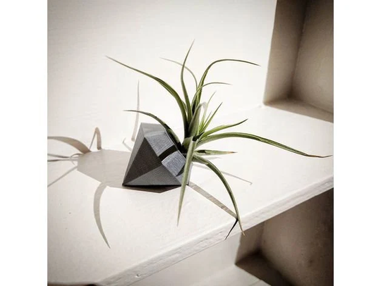3D Printed Diamond Air Plant Holder Pot Eco Friendly Biodegradable Material