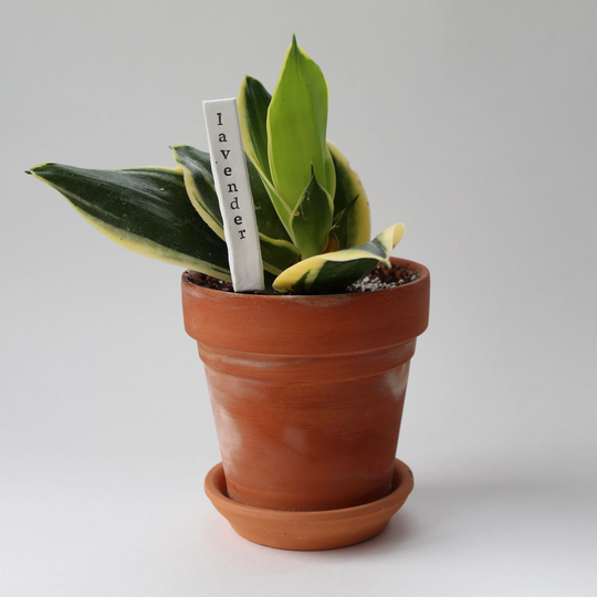 Herb Markers