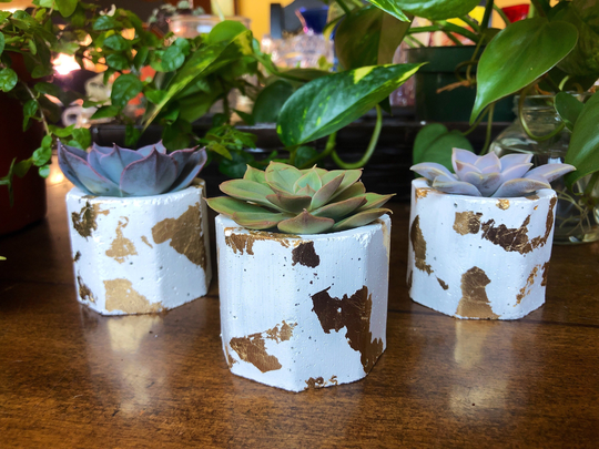 Succulent Pots Set Of 3 Small 2