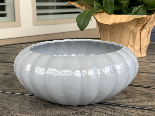 Vintage Lotus Style Succulent Planter in Glossy Grey, Round Shallow Pottery Planting Bowl With Scalloped Rim, Mid Century Indoor Patio Pot