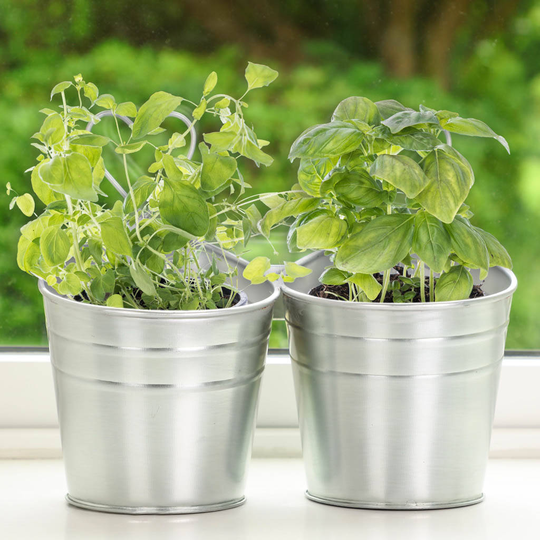 Indoor Herb Garden Planter Buckets