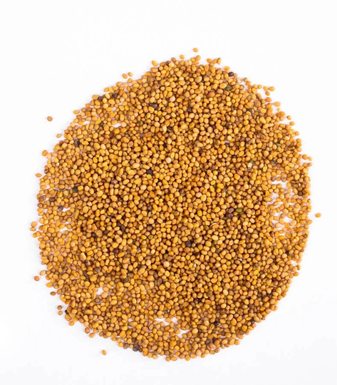 Yellow Mustard Seeds 200G Sinapis Alba - Whole Dried Quality Herbs & Spices