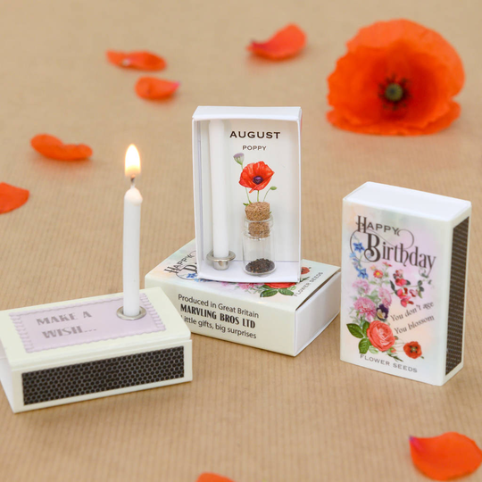 August Birth Flower Poppy Seeds And Birthday Candle