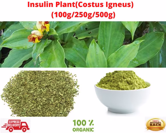 Insulin Plant(Costus Igneusthebu Leaves-Organic Loose Leaf Tea/Organic Plant Tea-Insulin Tea/Organic Herbal Tea
