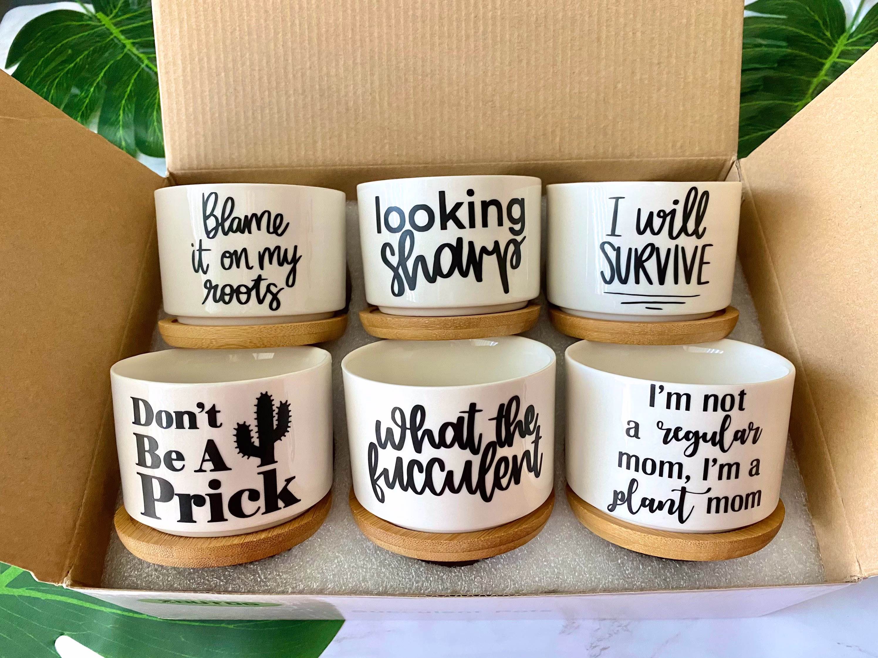 Succulent Planters | Funny Flower Pots Plant Puns Gifts For Her House Warming Gift Box Lady Christmas