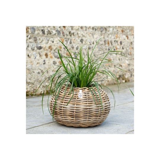 The Studley Company - Levisham Rattan Ball Planter
