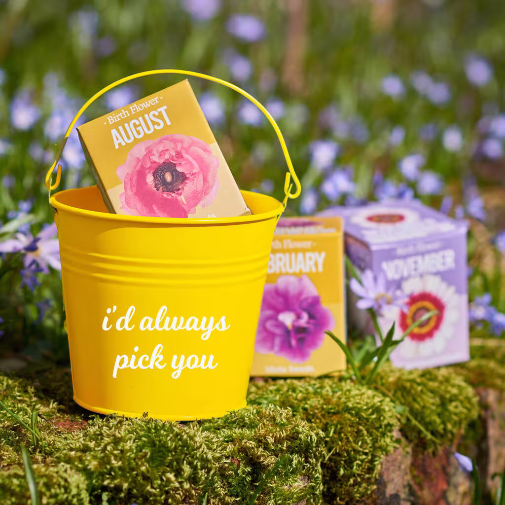Personalised Grow Your Own Birth Flower Bucket Gift, Customised Bucket, Gardening Bright Colours, Gardening.plant A Flower